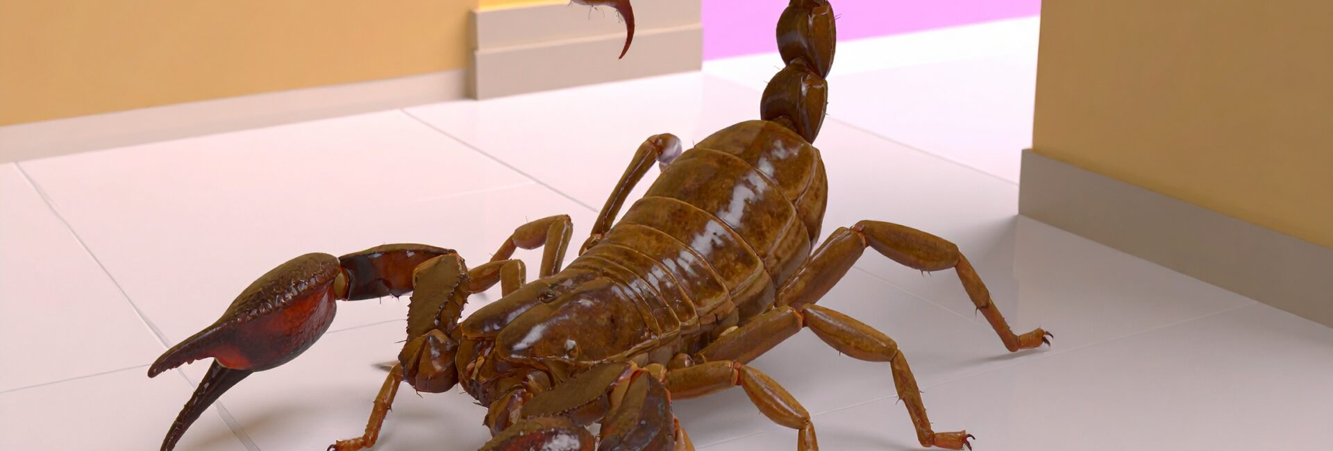 Alacranes en el hogar: cómo identificarlos y mantenerlos alejados