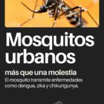 Mosquitos urbanos: riesgos para la salud y cómo prevenirlos