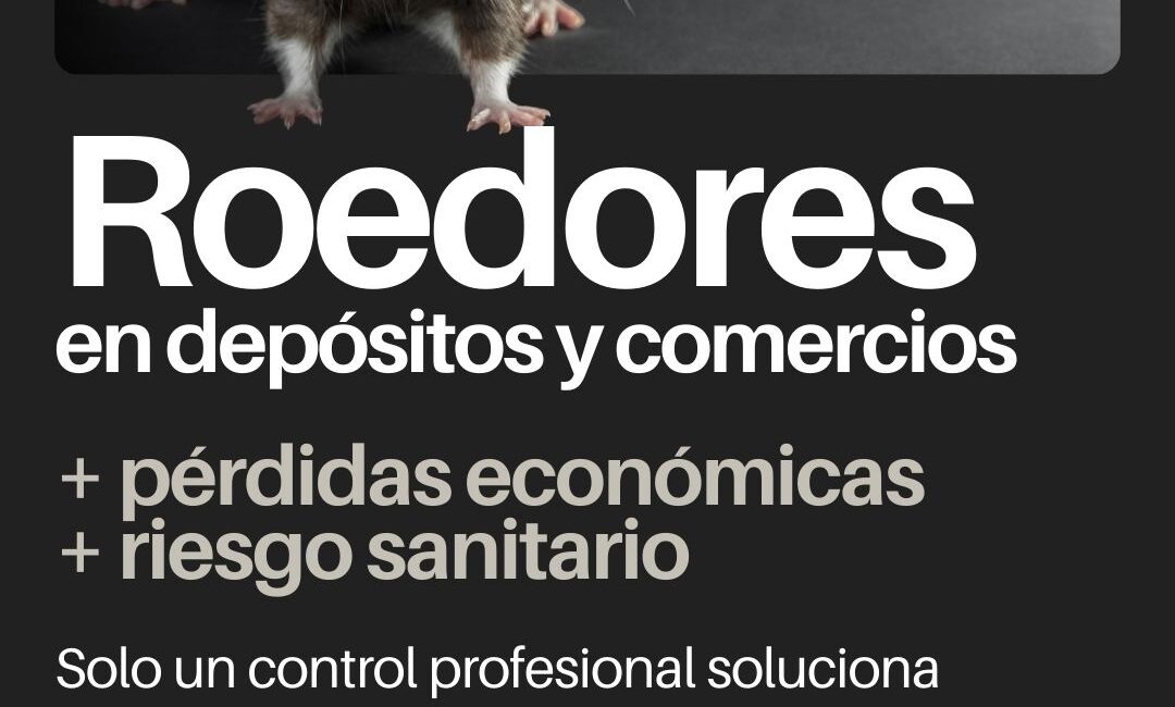 Roedores en depósitos y comercios: pérdidas económicas y riesgo sanitario