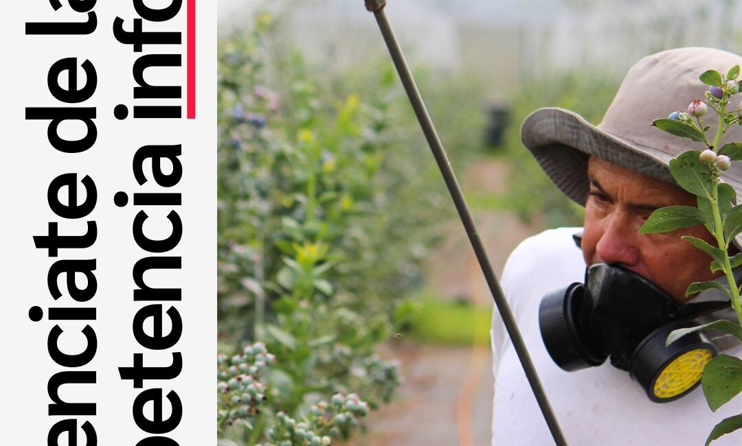 Control de plagas: competencia informal y cómo diferenciarse