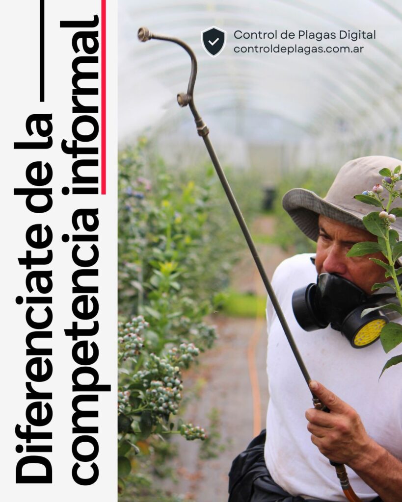 Control de plagas: competencia informal y cómo diferenciarse